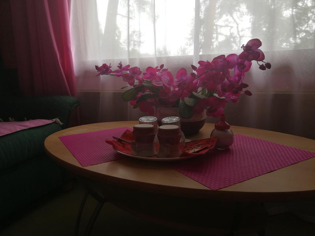 Hotel Villa Vanessa Siltakyla ภายนอก รูปภาพ